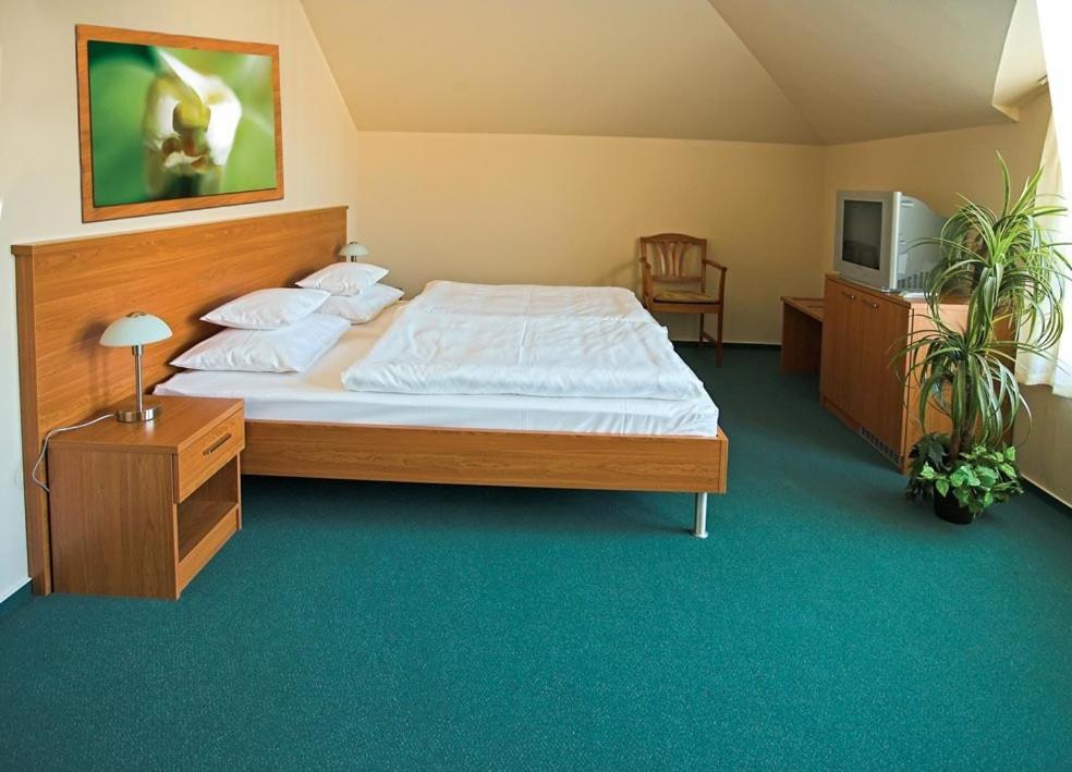Promedicum Panzio Hotell Veszprém Rom bilde