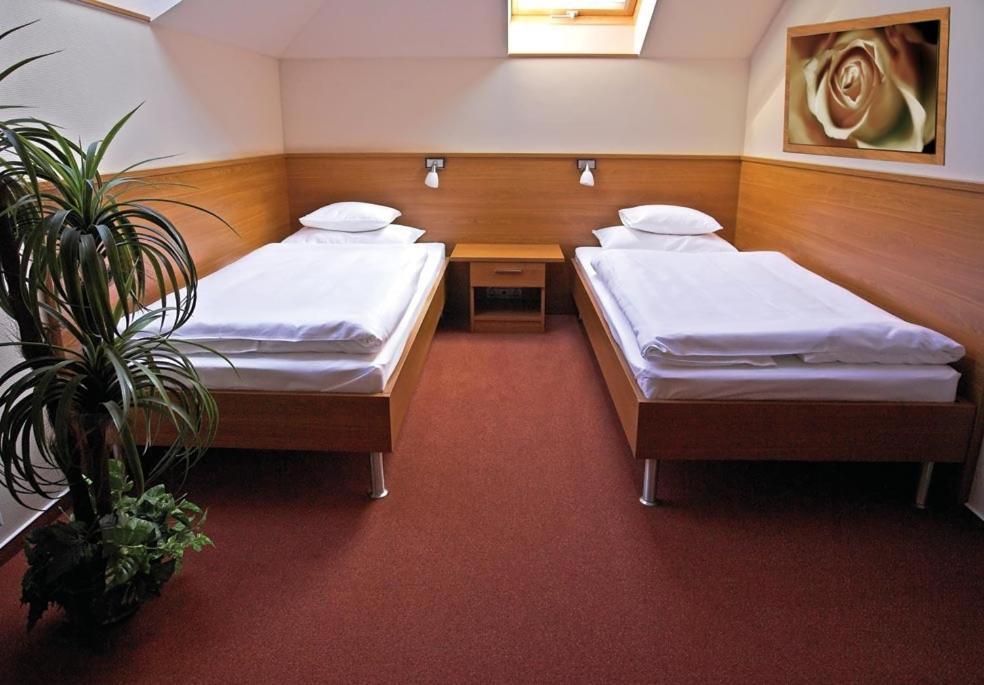 Promedicum Panzio Hotell Veszprém Rom bilde