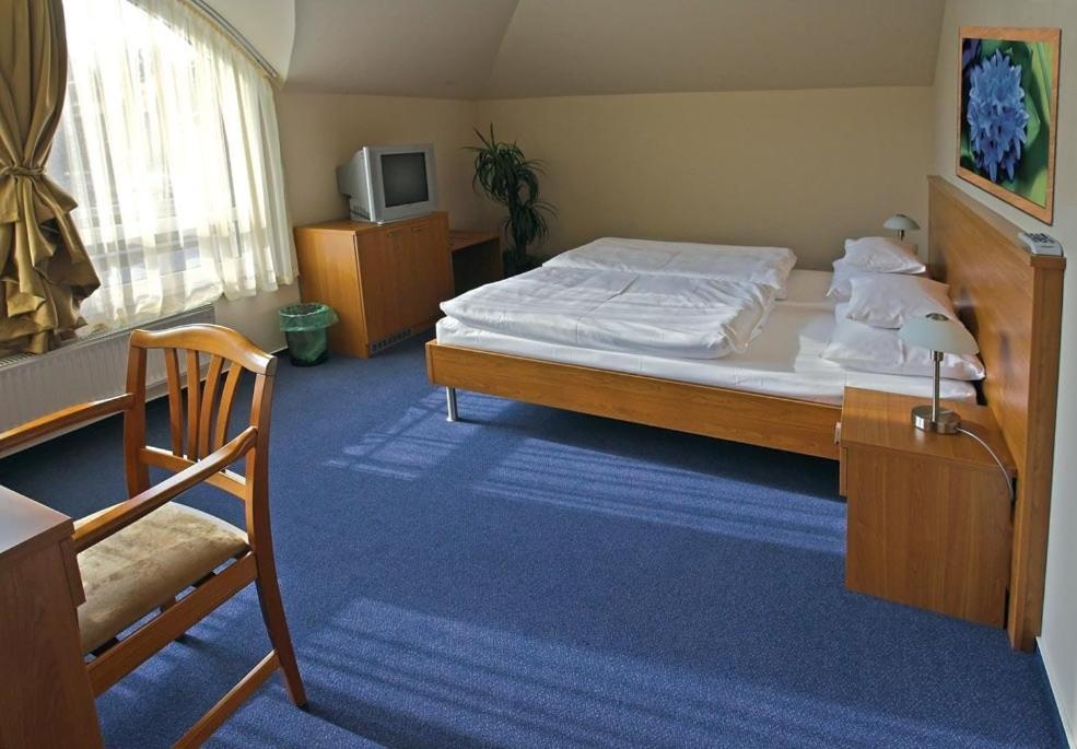 Promedicum Panzio Hotell Veszprém Rom bilde